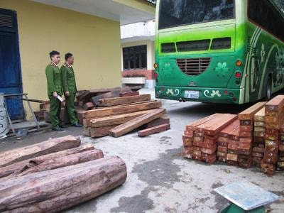 Bắt xe khách biển số Lào chở trên 10 m3 gỗ quý hiếm