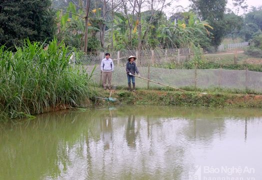 Lần đầu tiên nuôi cá chạch thành công nhờ lão nông Đậu Tiến Sỹ