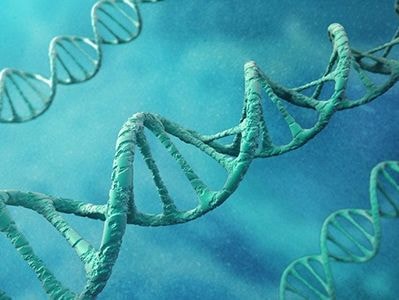 Giải mã gene liên quan đến đồng tính