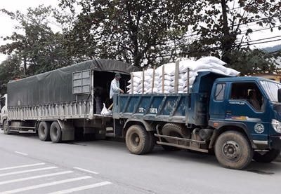 Tiếp nhận và cấp phát hơn 1.000 tấn gạo cho các hộ bảo vệ rừng ở Tương Dương