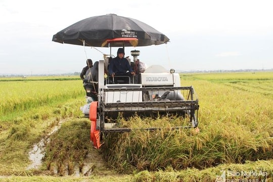 Nông dân Quỳnh Lưu sắm hơn 600 máy nông nghiệp