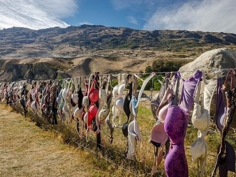 Độc đáo hàng rào bằng áo ngực