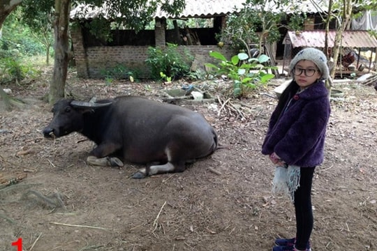 Nóng trên mạng xã hội: Trẻ con dễ thương, người lớn dễ ghét