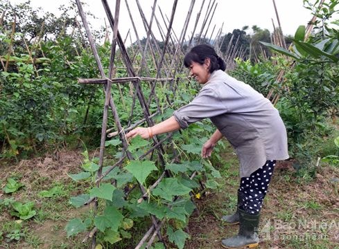 Nghệ An có 25 thôn bản đạt chuẩn nông thôn mới