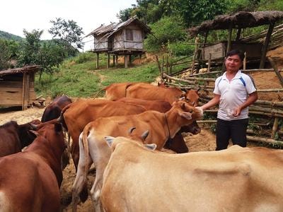Mù 2 mắt, chàng trai Mông 'nghe' để học hết lớp 9 và làm ăn giỏi