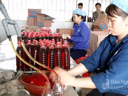 Công ty CP thủy sản Vạn Phần Diễn Châu: 70 năm phát triển vững mạnh