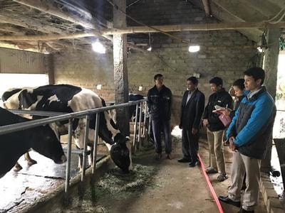 Gần 10.000 người cao tuổi Nghệ An làm kinh tế giỏi