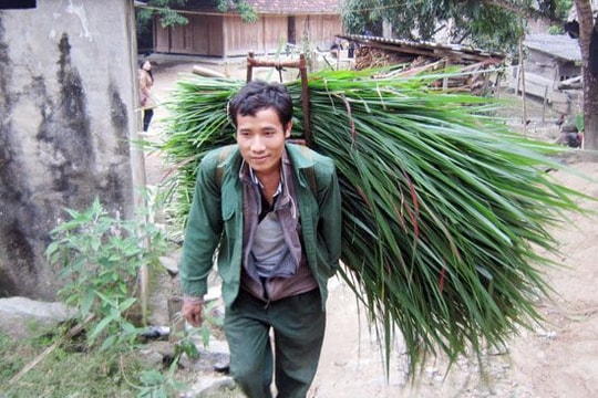 Trời rét, nông dân lo giữ ấm cho 'đầu cơ nghiệp'