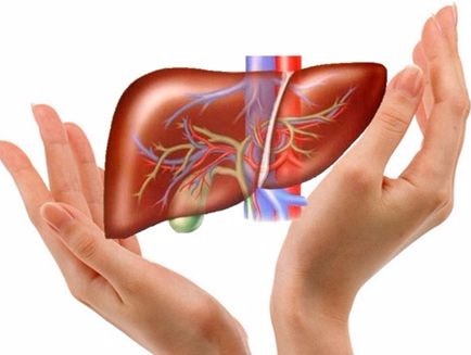 Suy giảm chức năng gan và những triệu chứng thường gặp