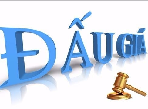 Bán đấu giá quyền sử dụng đất