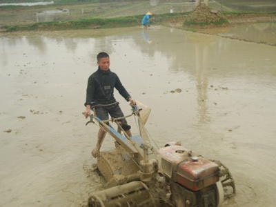 Thanh Chương phấn đấu đạt 14.600 ha vụ xuân