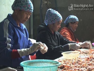 Cơ hội cho tôm nõn Diễn Châu vươn xa