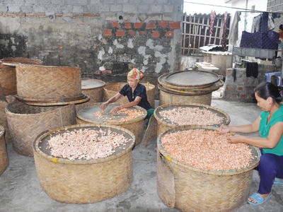 Hơn 160.000 hộ ở Nghệ An thoát nghèo từ vốn vay Ngân hàng chính sách