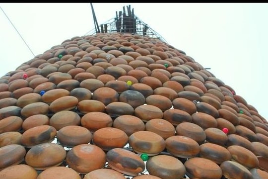 Cây thông Noel ghép bẳng nồi đất ở Nghệ An được xác lập kỷ lục Việt Nam