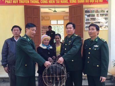 Tặng hộ nghèo ở Kỳ Sơn, Quế Phong giống lợn, bò phát triển chăn nuôi