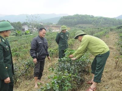 Thanh Chương: Nhịp sống mới ở khu tái định cư