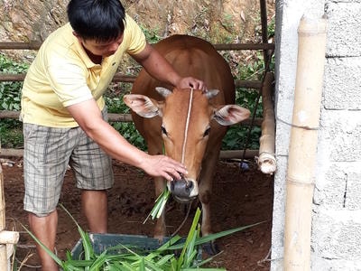 Chia sẻ kinh nghiệm thực hiện chương trình 135