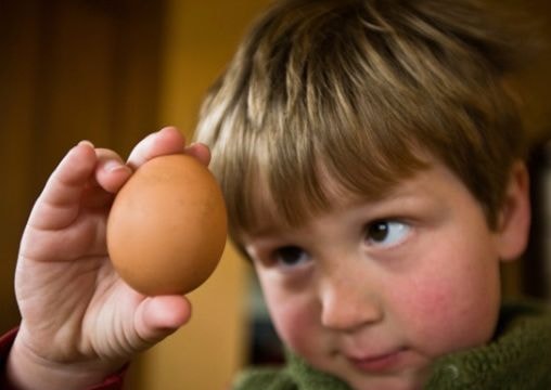 Trẻ nhỏ ăn bao nhiêu trứng là đủ
