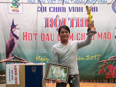 Sôi nổi Hội thi chim chào mào mừng Noel