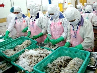 Nhiều mặt hàng tôm Việt Nam xuất sang EU hưởng thuế 0%
