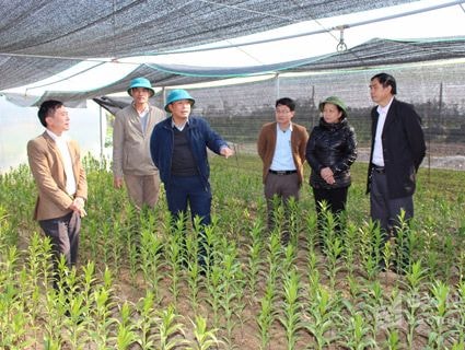 Các huyện Nghi Lộc, Quỳnh Lưu quán triệt Nghị quyết Trung ương 6 (khóa XII)