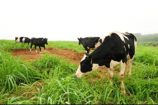 Sản xuất nông nghiệp hữu cơ là  tiến tới nền sản xuất văn minh