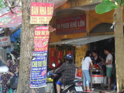 TP. Vinh sẽ ngắt kết nối số điện thoại ghi trên quảng cáo rao vặt trái phép