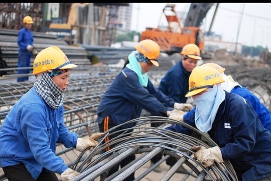 Cử nhân đại học thất nghiệp tăng