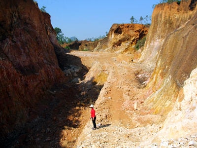 Vụ xẻ đồi, bán đất lâm nghiệp ở Yên Thành: Chính quyền ở đâu?