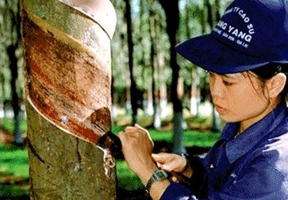 Năng suất lao động của Việt Nam chỉ bằng 87% của Lào