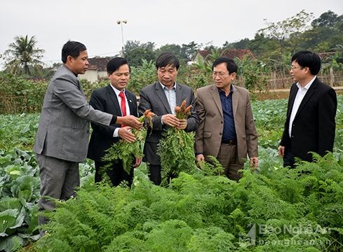 Nam Đàn hoàn thành 9/9 tiêu chí huyện nông thôn mới