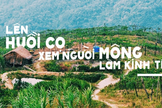 Lên Huồi Cọ xem người Mông làm kinh tế