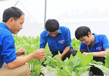 Tổ chức đoàn cần tiếp tục đồng hành, hỗ trợ thanh niên lập nghiệp