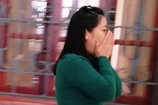 Nhận tiền đưa người đi Anh rồi bỏ rơi ở Thổ Nhĩ Kỳ, lĩnh 2 năm tù