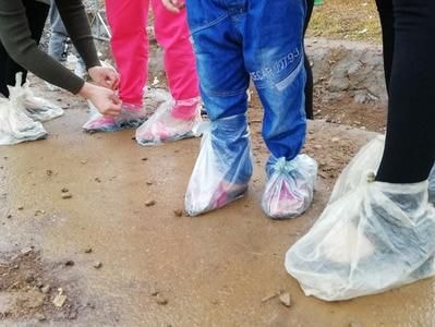 Túi ni lông 'hút khách' ở cánh đồng hoa hướng dương