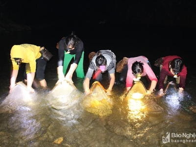 Bất chấp lạnh giá người dân vùng cao rủ nhau ra suối xúc nòng nọc