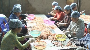 Sản phẩm đặc sản Nghệ An có cơ hội lớn khi được sở hữu trí tuệ 