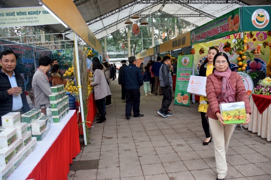 Gần 60 tấn cam tiêu thụ tại Hội chợ cam Vinh - Nghệ An 2017