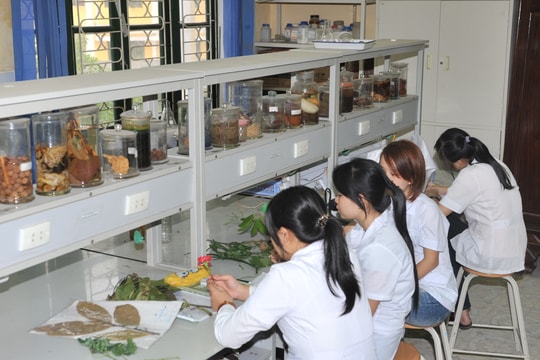 Hiệu trưởng Đại học Vinh treo thưởng 150 triệu cho công trình chống ùn tắc ở nhà xe