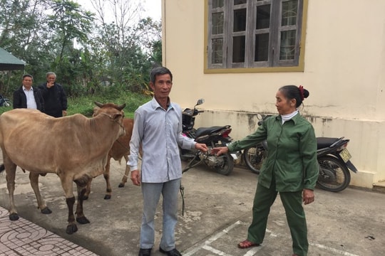 Bàn giao bò giống Quỹ thiện tâm của tập đoàn Vingroup 