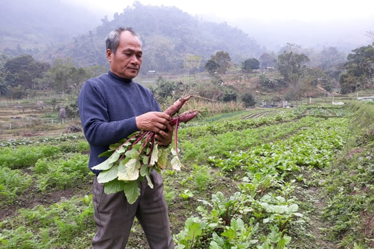 Người dân vùng cao chủ động nguồn rau, thịt sạch phục vụ tết