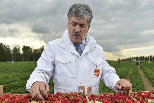 Đại diện Đảng Cộng sản Nga “thách thức” Tổng thống Putin trong bầu cử