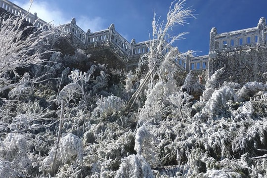 Đêm nay mưa tuyết, băng giá có thể xuất hiện trên đỉnh Fansipan