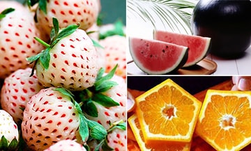 5 loại trái cây có hình thù kỳ lạ giá cực đắt ở Nhật