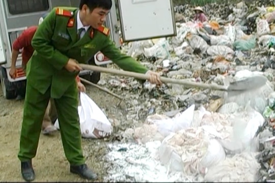 Quỳnh Lưu tiêu hủy gần 200 kg mỡ lợn không rõ nguồn gốc