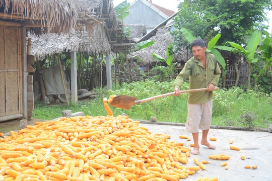 Các địa phương lo không hoàn thành chỉ tiêu giảm nghèo năm 2018