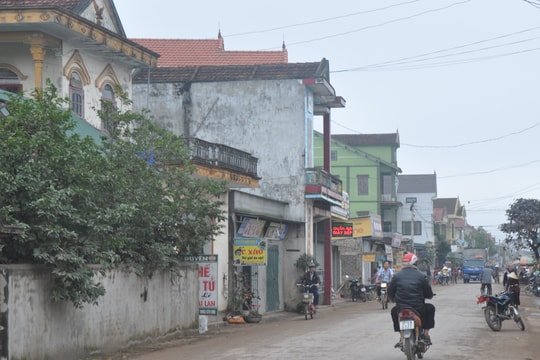 Mạch nguồn Nho Lâm