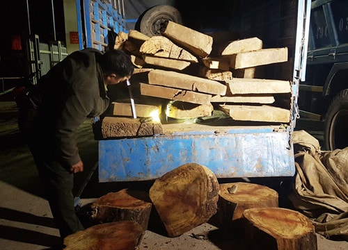 Công an rượt đuổi xe chở gỗ lậu trong đêm như phim hành động