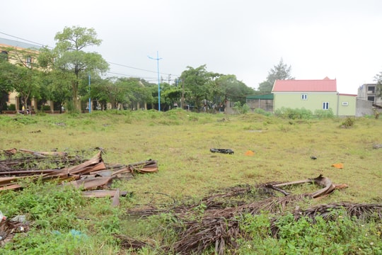 Nghệ An chấm dứt hoạt động 138 dự án, thu hồi 34.500 ha đất