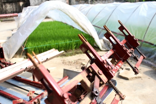 Nông dân Quỳnh Lưu lần đầu tiên sử dụng máy cấy bằng cơ 
